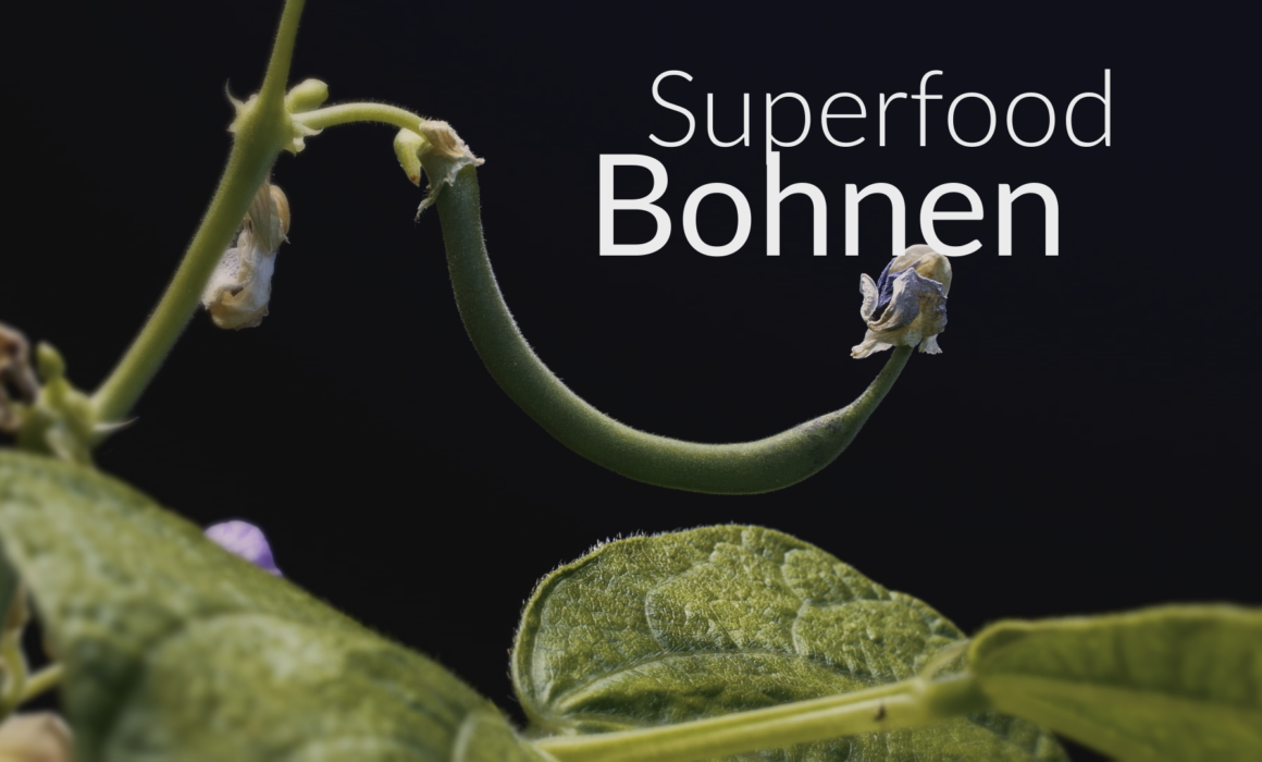 &quot;Superfood Beans&quot; by Jasmin Lakatoš for ARTE/ MDR